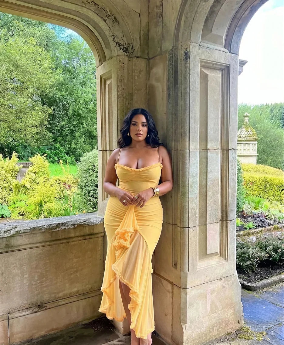 Dianella Mesh Maxi Dress