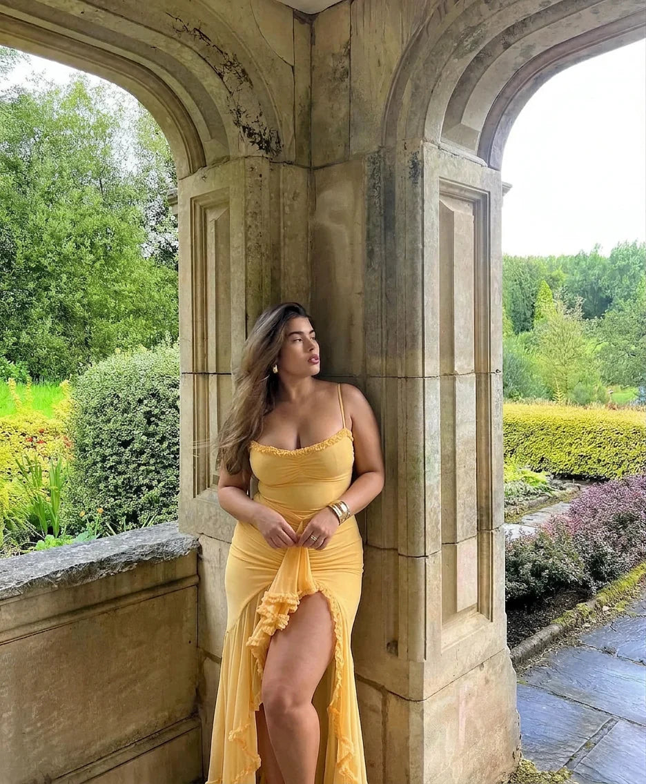 Dianella Mesh Maxi Dress