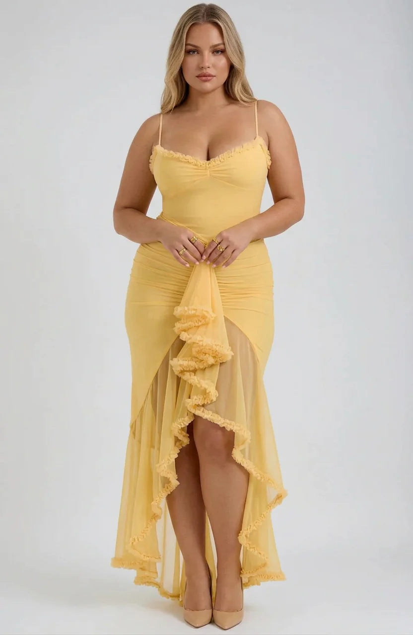 Dianella Mesh Maxi Dress