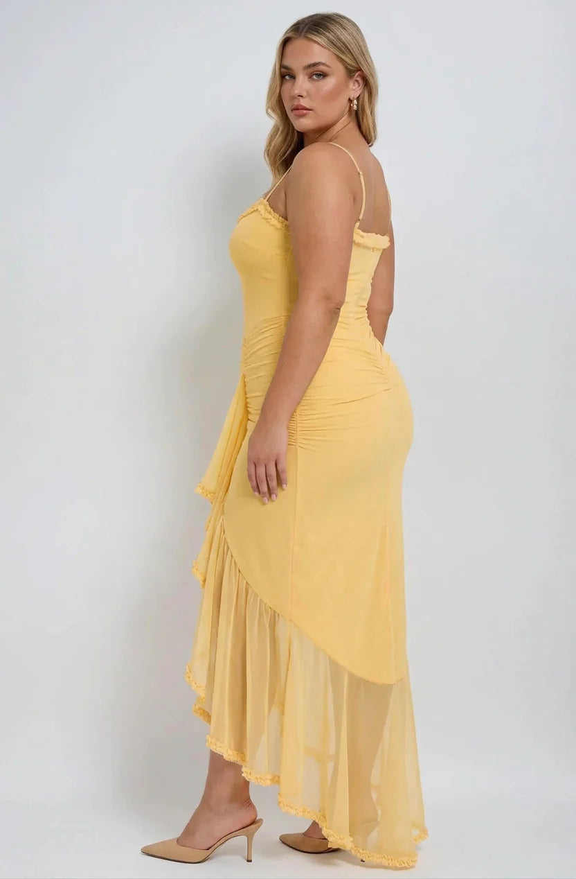 Dianella Mesh Maxi Dress