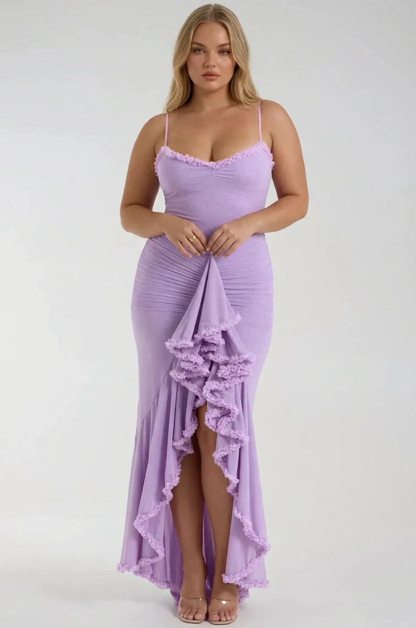 Dianella Mesh Maxi Dress