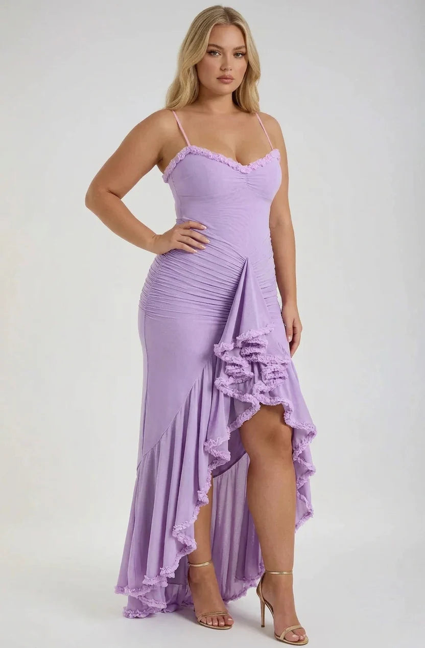 Dianella Mesh Maxi Dress